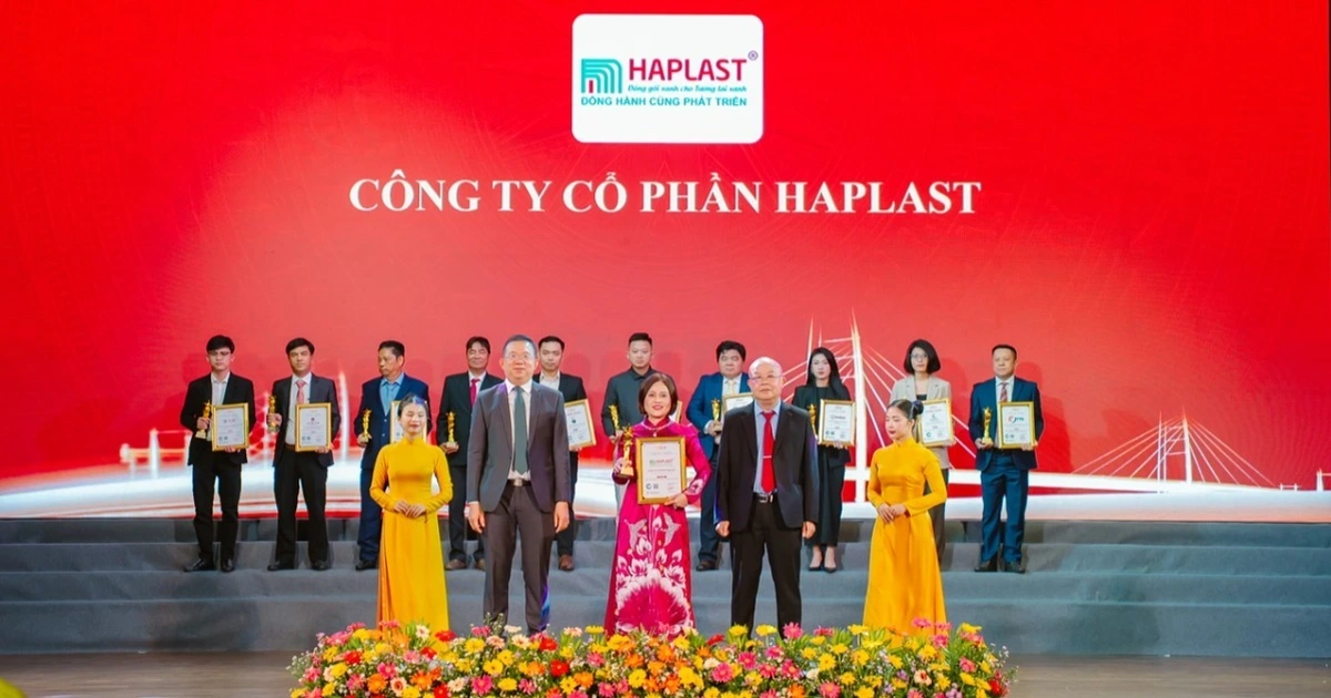 Haplast Group: Giải mã công thức xây dựng môi trường làm việc tốt nhất