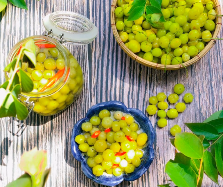 Mô hình trồng chùm ruột quy mô lớn đang mang lại nguồn thu nhập ổn định cho nhiều hộ nông dân.